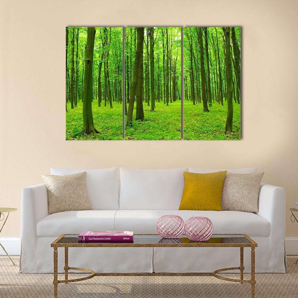 Trees In A Green Forest In Spring Canvas Wall Art-3 Horizontal-Gallery Wrap-37" x 24"-Tiaracle