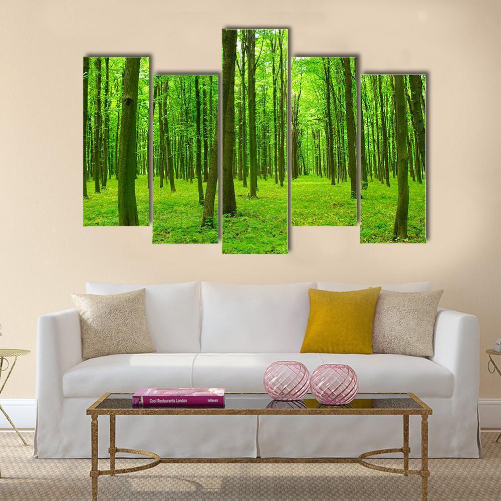 Spring Forest with Tall Trees Canvas Wall Art in brown and green, 5 panel Pop layout hung on a wall