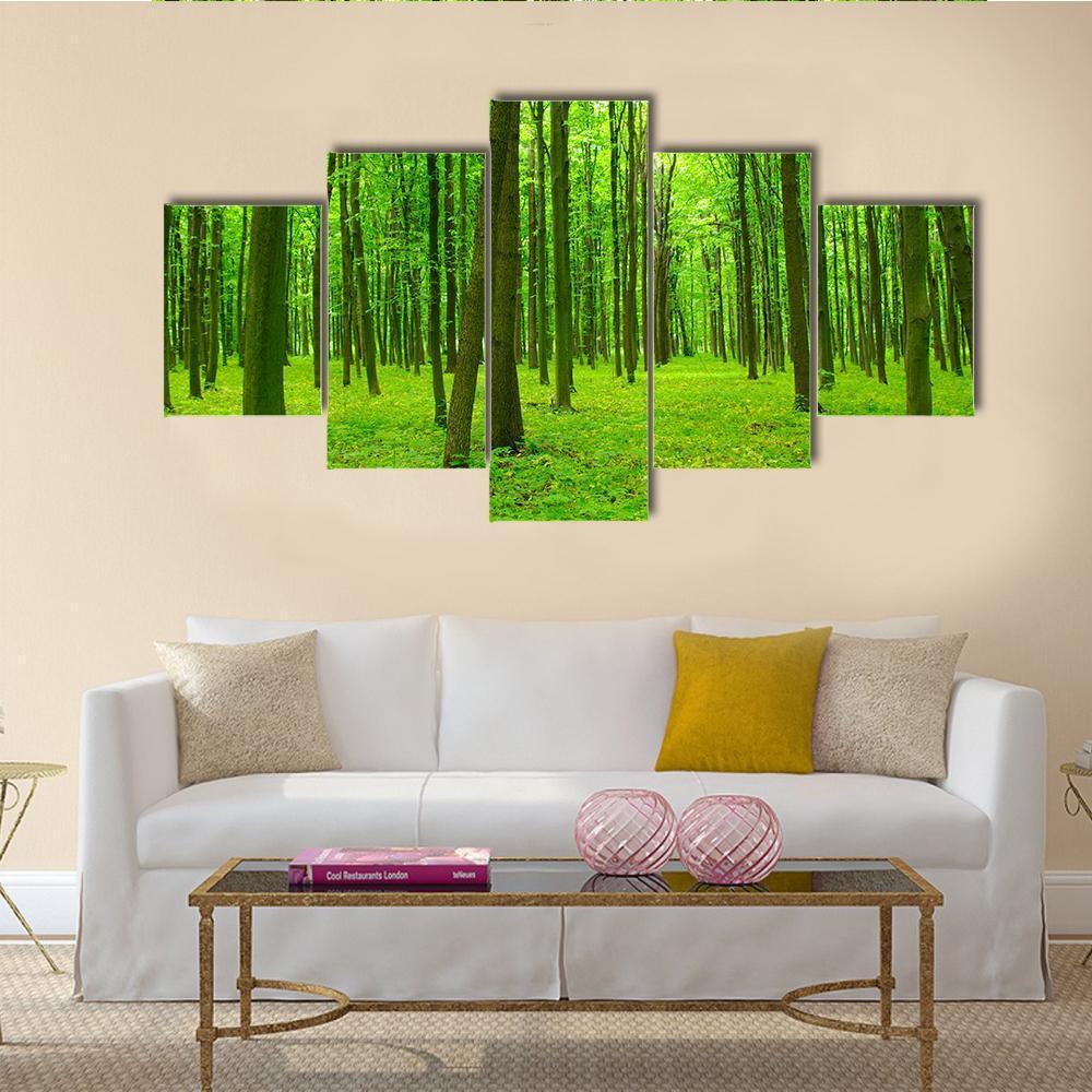 Spring Forest with Tall Trees Canvas Wall Art in brown and green, 3 panel horizontal set hung on a wall
