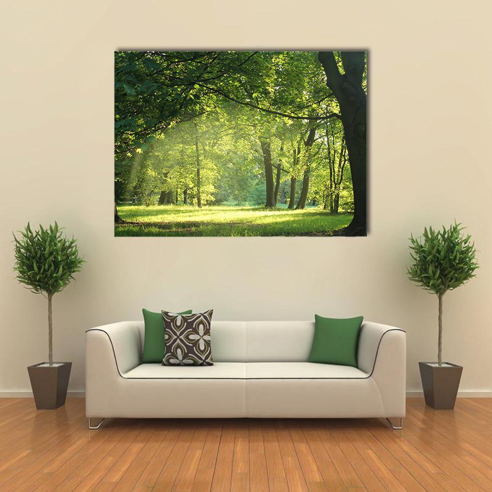 Sunlit Forest with Trees in Summer Canvas Wall Art in yellow and green, single panel hung on a wall