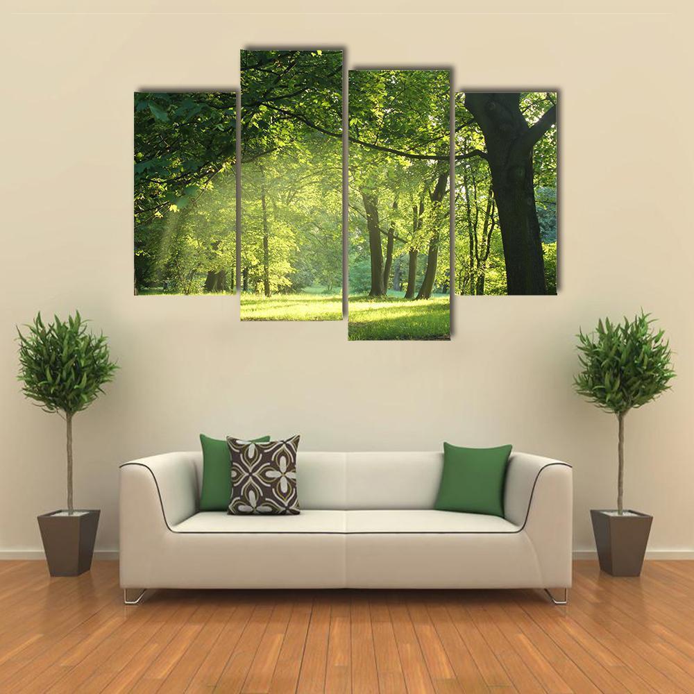Trees In A Summer Forest Canvas Wall Art-4 Pop-Gallery Wrap-50" x 32"-Tiaracle