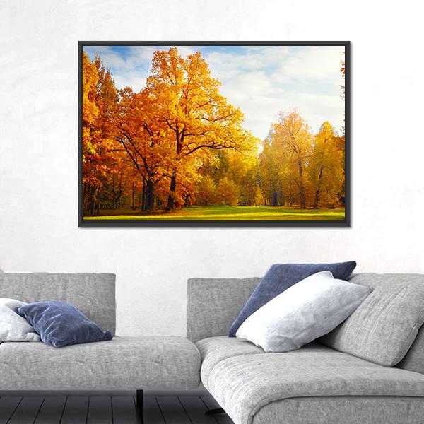 Trees In Autumn Landscape Canvas Wall Art-1 Piece-Floating Frame-24" x 16"-Tiaracle