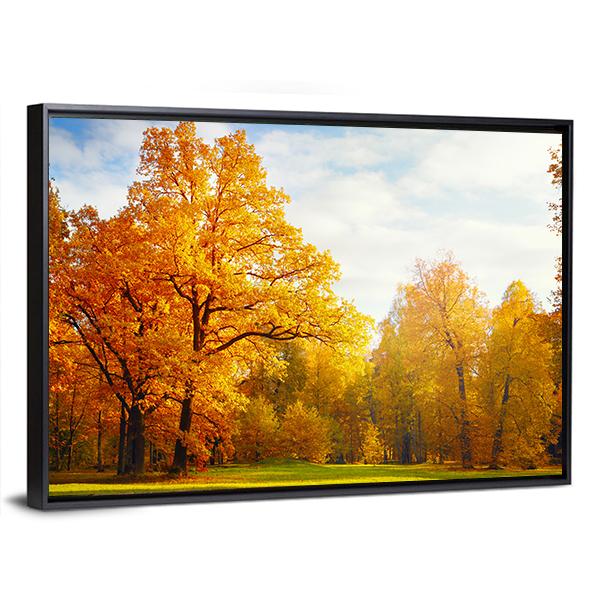 Trees In Autumn Landscape Canvas Wall Art-3 Horizontal-Gallery Wrap-25" x 16"-Tiaracle