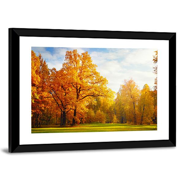 Trees In Autumn Landscape Canvas Wall Art-3 Horizontal-Gallery Wrap-25" x 16"-Tiaracle