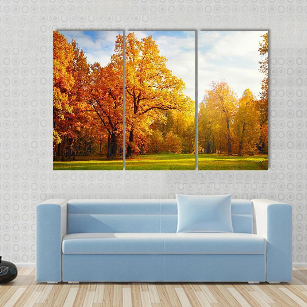 Trees In Autumn Landscape Canvas Wall Art-3 Horizontal-Gallery Wrap-37" x 24"-Tiaracle