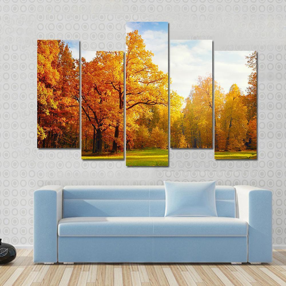 Trees In Autumn Landscape Canvas Wall Art-5 Pop-Gallery Wrap-47" x 32"-Tiaracle