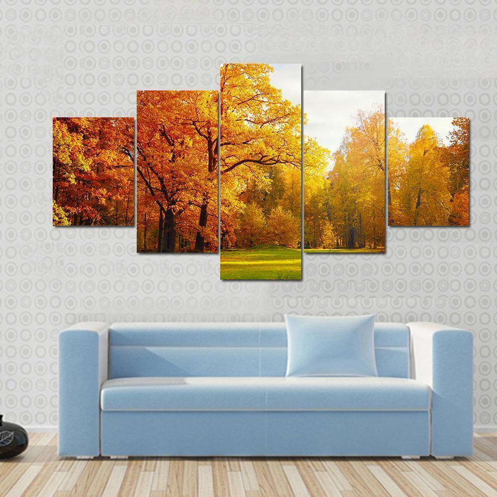 Trees In Autumn Landscape Canvas Wall Art-5 Star-Gallery Wrap-62" x 32"-Tiaracle