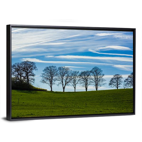 Trees Silhouetted Against A Blue Sky Canvas Wall Art-3 Horizontal-Gallery Wrap-25" x 16"-Tiaracle