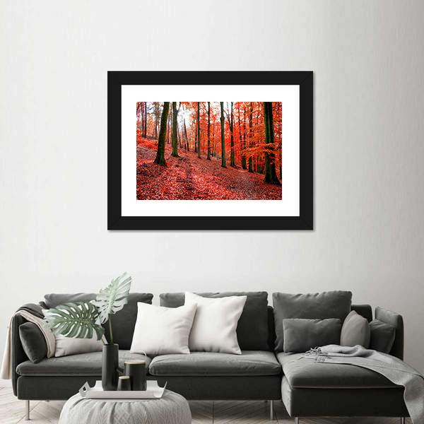 Trees With Red Autumn Leafs In Sonian Forest Canvas Wall Art-1 Piece-Framed Print-20" x 16"-Tiaracle