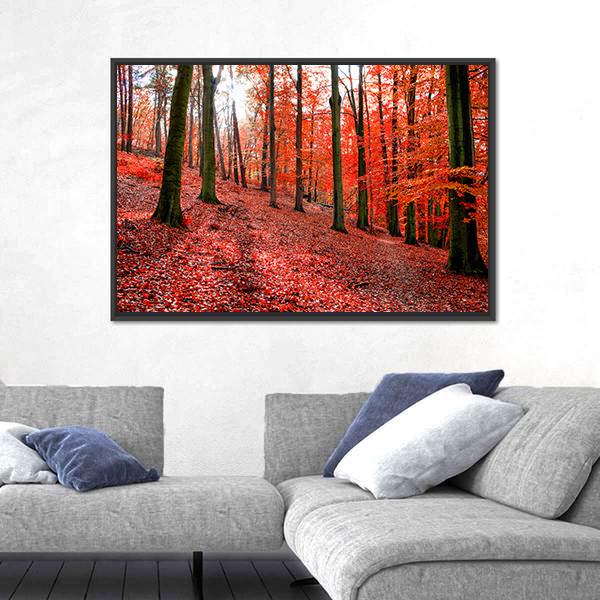 Trees With Red Autumn Leafs In Sonian Forest Canvas Wall Art-1 Piece-Floating Frame-24" x 16"-Tiaracle