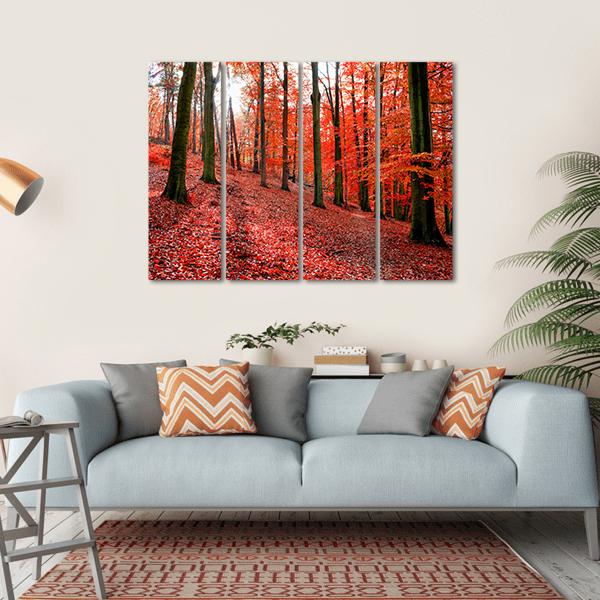 Trees With Red Autumn Leafs In Sonian Forest Canvas Wall Art-4 Horizontal-Gallery Wrap-34" x 24"-Tiaracle