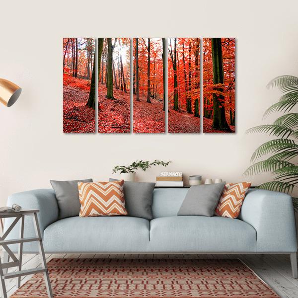 Trees With Red Autumn Leafs In Sonian Forest Canvas Wall Art-5 Horizontal-Gallery Wrap-22" x 12"-Tiaracle