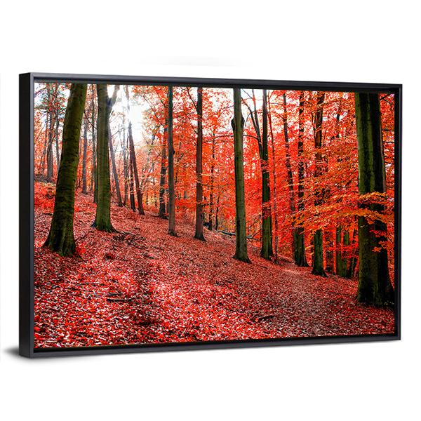 Trees With Red Autumn Leafs In Sonian Forest Canvas Wall Art-3 Horizontal-Gallery Wrap-25" x 16"-Tiaracle