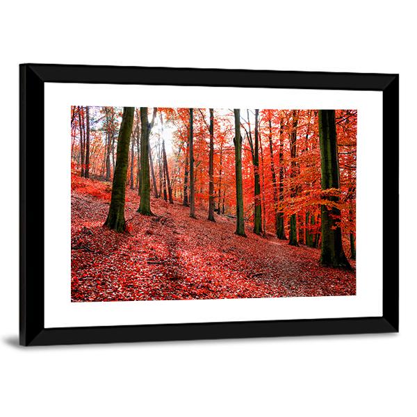 Trees With Red Autumn Leafs In Sonian Forest Canvas Wall Art-3 Horizontal-Gallery Wrap-25" x 16"-Tiaracle