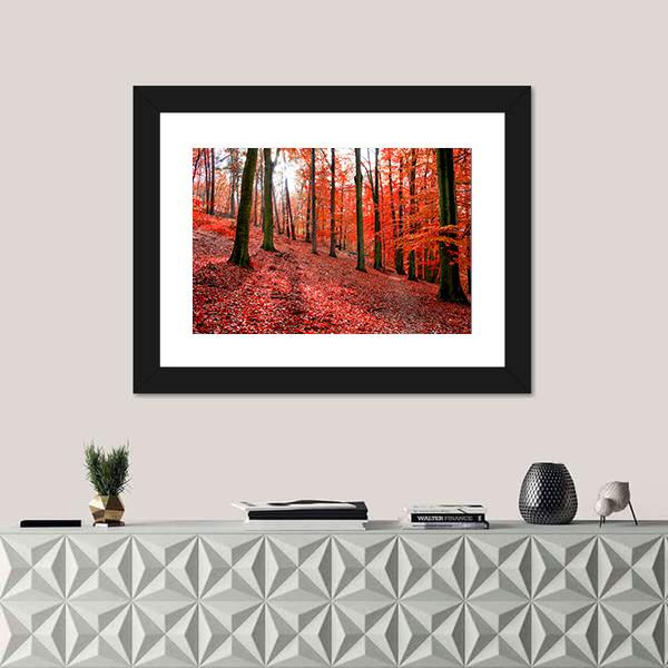 Trees With Red Autumn Leafs In Sonian Forest Canvas Wall Art-3 Horizontal-Gallery Wrap-25" x 16"-Tiaracle