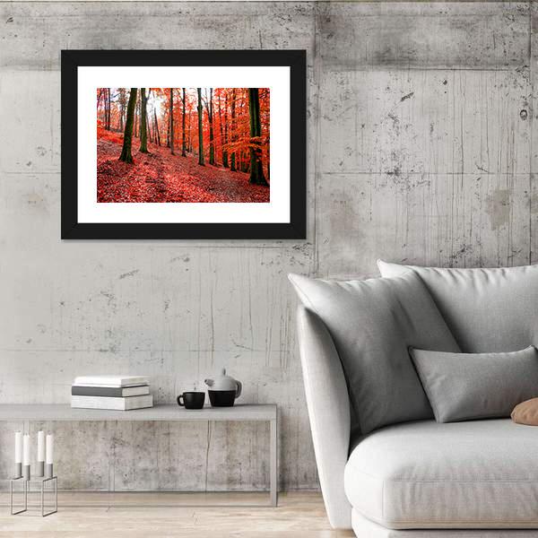 Trees With Red Autumn Leafs In Sonian Forest Canvas Wall Art-3 Horizontal-Gallery Wrap-25" x 16"-Tiaracle