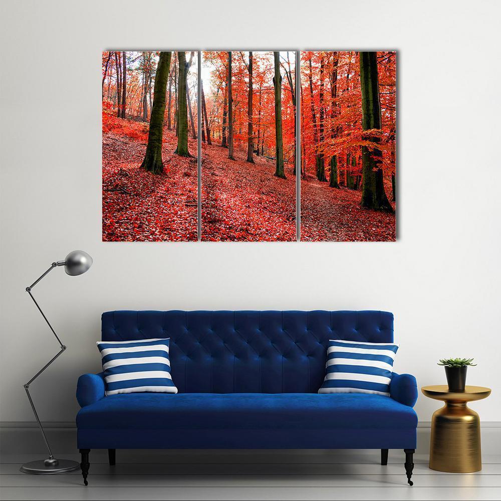 Trees With Red Autumn Leafs In Sonian Forest Canvas Wall Art-3 Horizontal-Gallery Wrap-37" x 24"-Tiaracle