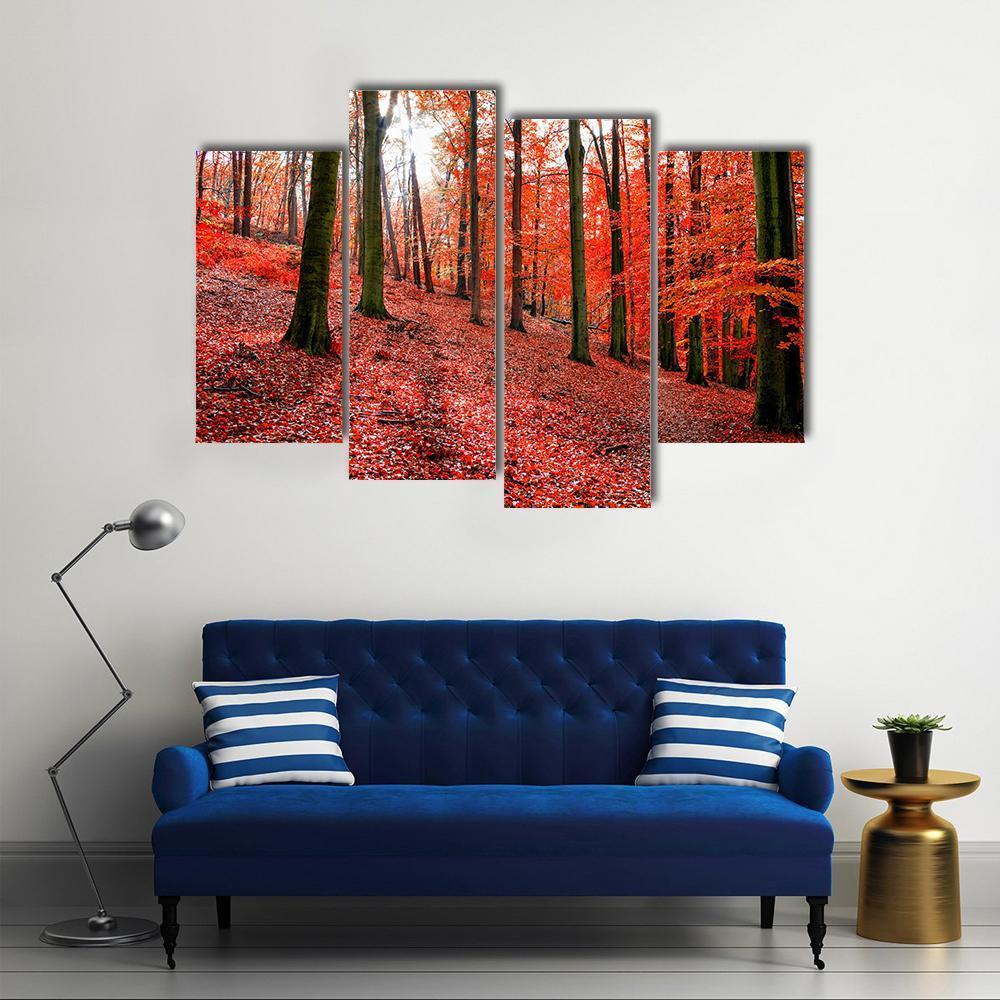 Trees With Red Autumn Leafs In Sonian Forest Canvas Wall Art-4 Pop-Gallery Wrap-50" x 32"-Tiaracle