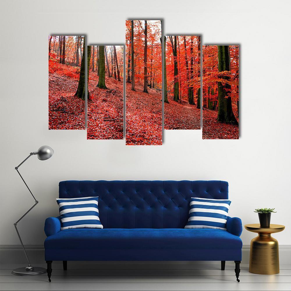 Trees With Red Autumn Leafs In Sonian Forest Canvas Wall Art-5 Pop-Gallery Wrap-47" x 32"-Tiaracle