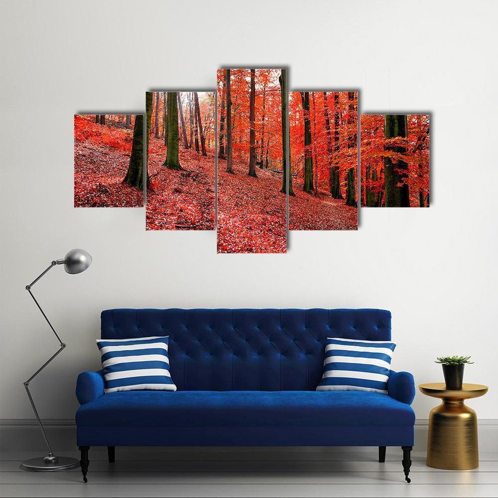 Trees With Red Autumn Leafs In Sonian Forest Canvas Wall Art-5 Star-Gallery Wrap-62" x 32"-Tiaracle