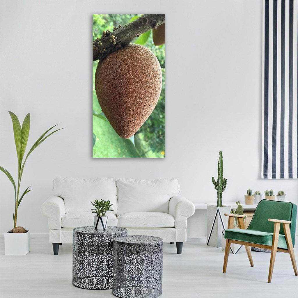 Tropical Apple Sapote Fruit Vertical Canvas Wall Art-1 Vertical-Gallery Wrap-12" x 24"-Tiaracle
