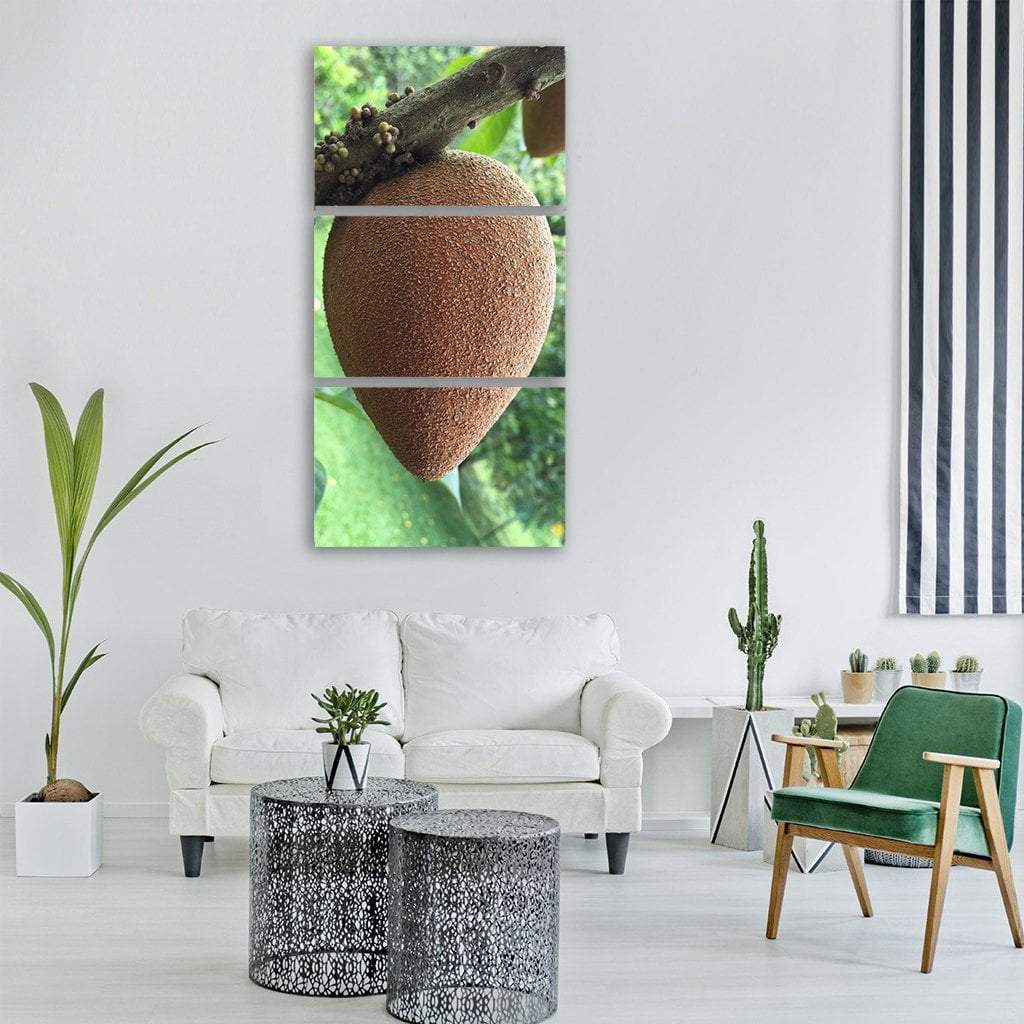 Tropical Apple Sapote Fruit Vertical Canvas Wall Art-3 Vertical-Gallery Wrap-12" x 25"-Tiaracle