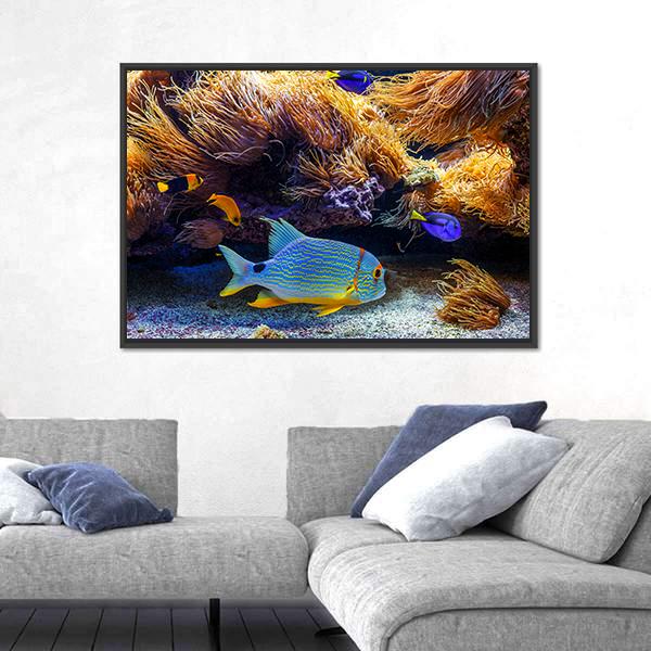 Tropical Exotic Fishes In Sea Panoramic Canvas Wall Art-1 Piece-36" x 12"-Tiaracle