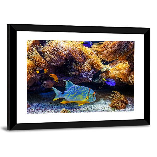 Tropical Exotic Fishes In Sea Panoramic Canvas Wall Art-1 Piece-36" x 12"-Tiaracle