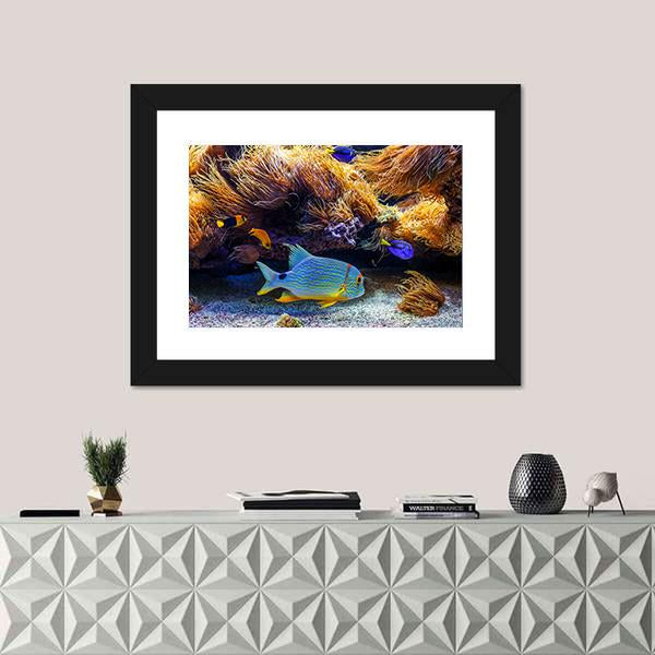 Tropical Exotic Fishes In Sea Panoramic Canvas Wall Art-1 Piece-36" x 12"-Tiaracle