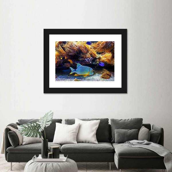 Tropical Exotic Fishes In Sea Panoramic Canvas Wall Art-1 Piece-36" x 12"-Tiaracle