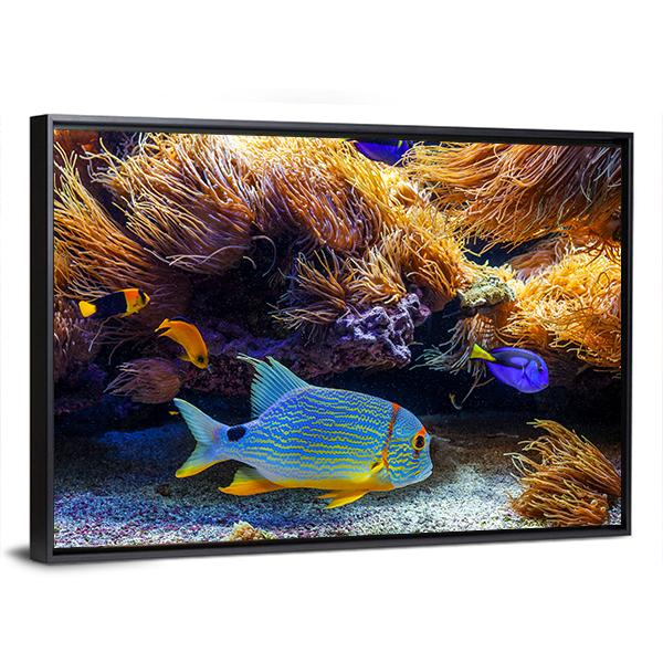 Tropical Exotic Fishes In Sea Panoramic Canvas Wall Art-1 Piece-36" x 12"-Tiaracle
