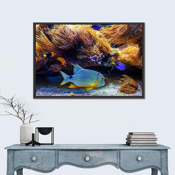Tropical Exotic Fishes In Sea Panoramic Canvas Wall Art-1 Piece-36" x 12"-Tiaracle