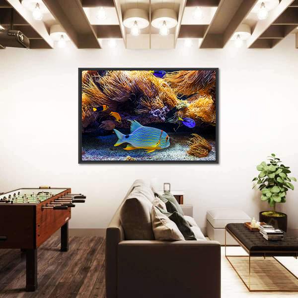 Tropical Exotic Fishes In Sea Panoramic Canvas Wall Art-1 Piece-36" x 12"-Tiaracle