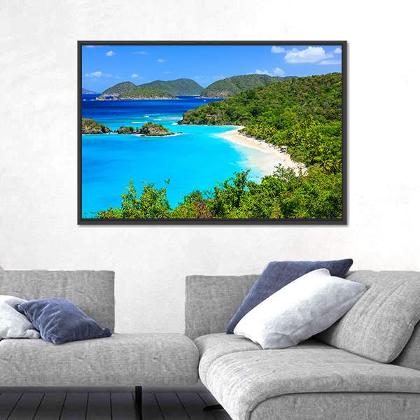 Trunk Bay On St John Island Canvas Wall Art-1 Piece-Floating Frame-24" x 16"-Tiaracle