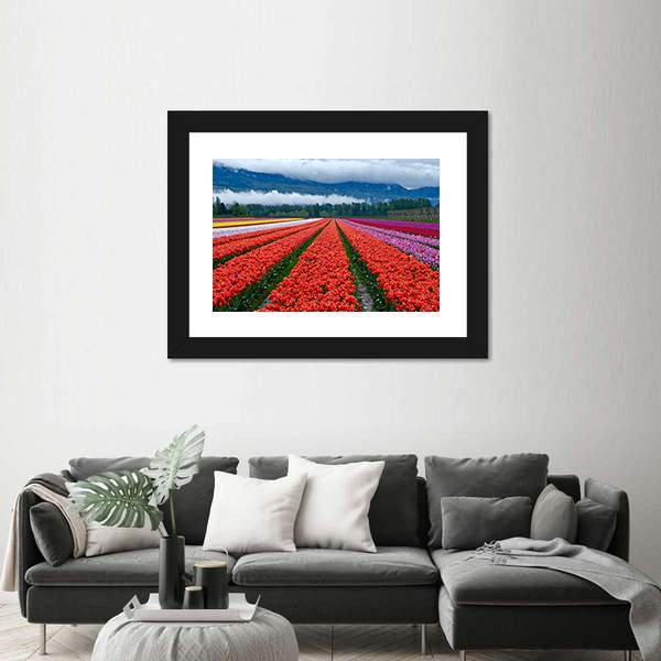 Tulip Festival In Chilliwack Canvas Wall Art-1 Piece-Framed Print-20" x 16"-Tiaracle