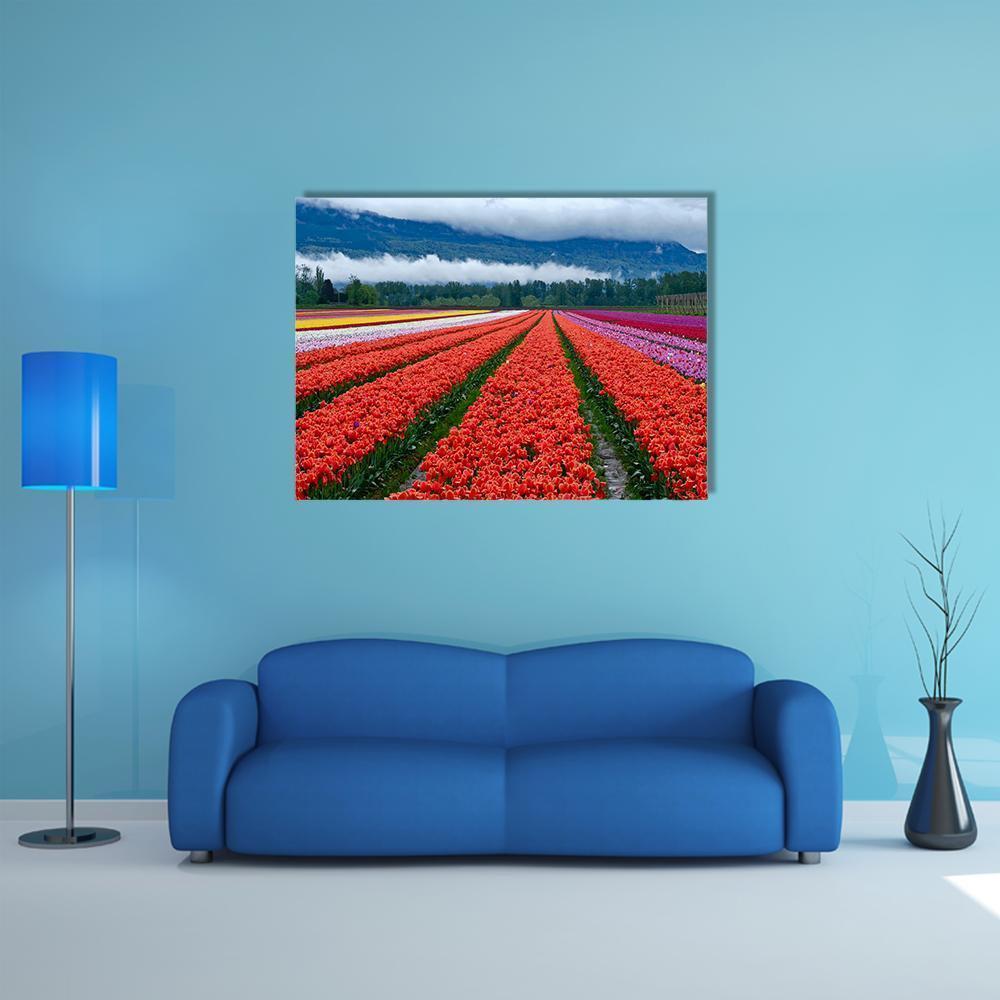 Red Tulip Field with Misty Mountains Canvas Wall Art in red, green and blue, single panel hung on a wall