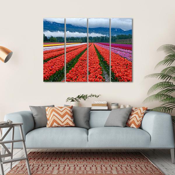 Tulip Festival In Chilliwack Canvas Wall Art-4 Horizontal-Gallery Wrap-34" x 24"-Tiaracle