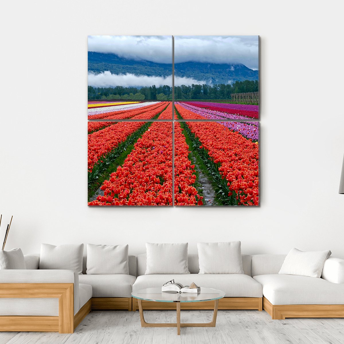 Tulip Festival In Chilliwack Canvas Wall Art-4 Square-Gallery Wrap-17" x 17"-Tiaracle