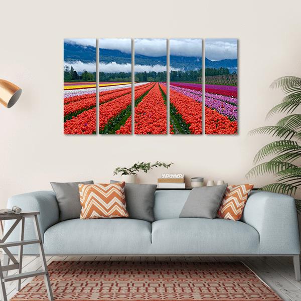 Tulip Festival In Chilliwack Canvas Wall Art-5 Horizontal-Gallery Wrap-22" x 12"-Tiaracle