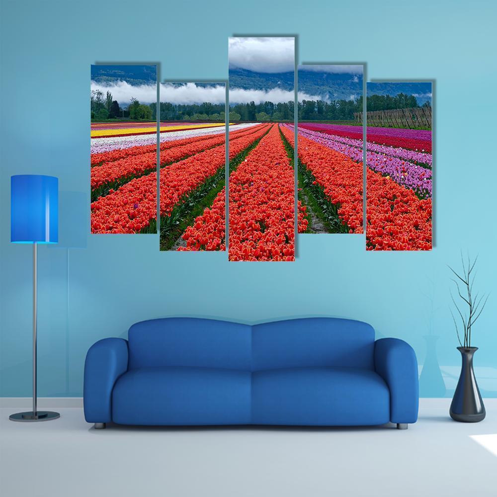 Tulip Festival In Chilliwack Canvas Wall Art-5 Pop-Gallery Wrap-47" x 32"-Tiaracle