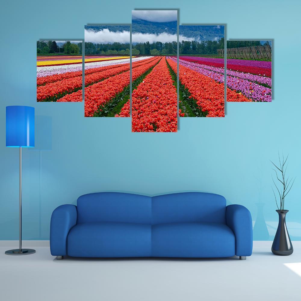 Tulip Festival In Chilliwack Canvas Wall Art-3 Horizontal-Gallery Wrap-37" x 24"-Tiaracle
