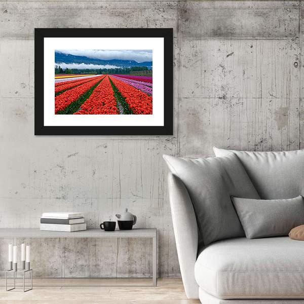 Tulip Festival In Chilliwack Panoramic Canvas Wall Art-1 Piece-36" x 12"-Tiaracle