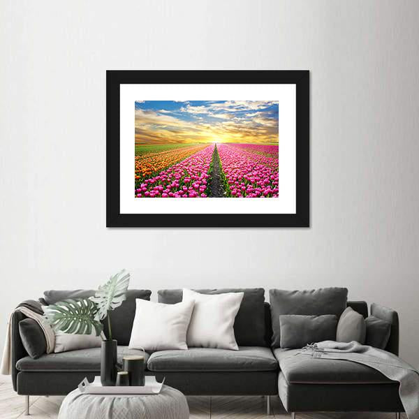 Tulip Field At Sunrise Canvas Wall Art-1 Piece-Framed Print-20" x 16"-Tiaracle