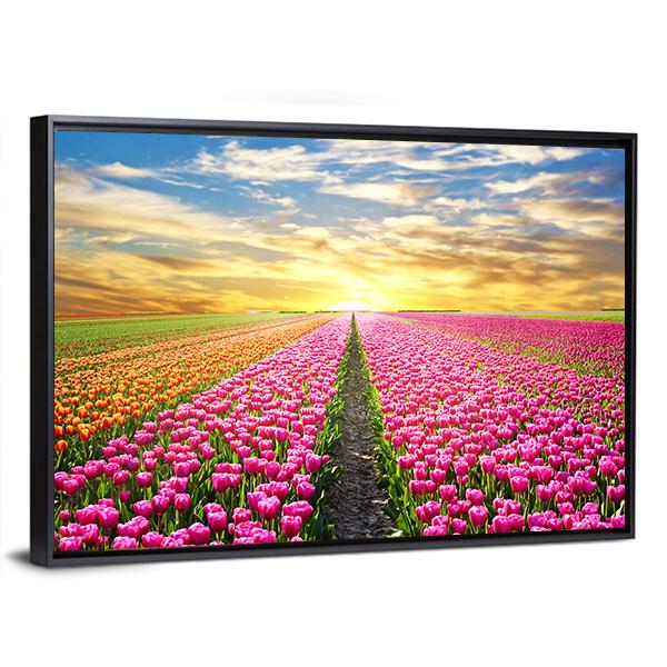 Tulip Field At Sunrise Canvas Wall Art-3 Horizontal-Gallery Wrap-25" x 16"-Tiaracle