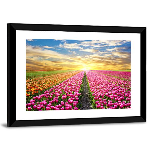 Tulip Field At Sunrise Canvas Wall Art-3 Horizontal-Gallery Wrap-25" x 16"-Tiaracle