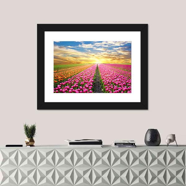 Tulip Field At Sunrise Canvas Wall Art-3 Horizontal-Gallery Wrap-25" x 16"-Tiaracle