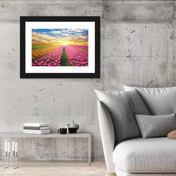 Tulip Field At Sunrise Canvas Wall Art-3 Horizontal-Gallery Wrap-25" x 16"-Tiaracle