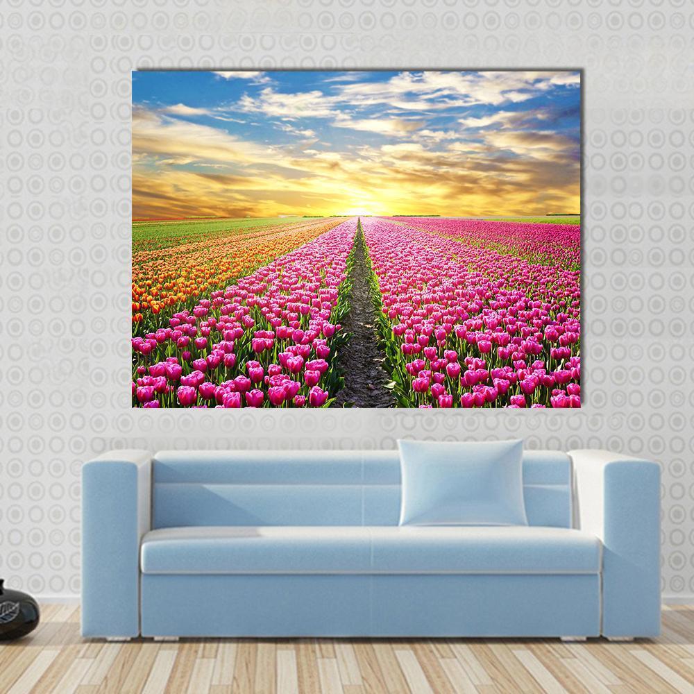 Tulip Field At Sunrise Canvas Wall Art-1 Piece-Gallery Wrap-48" x 32"-Tiaracle
