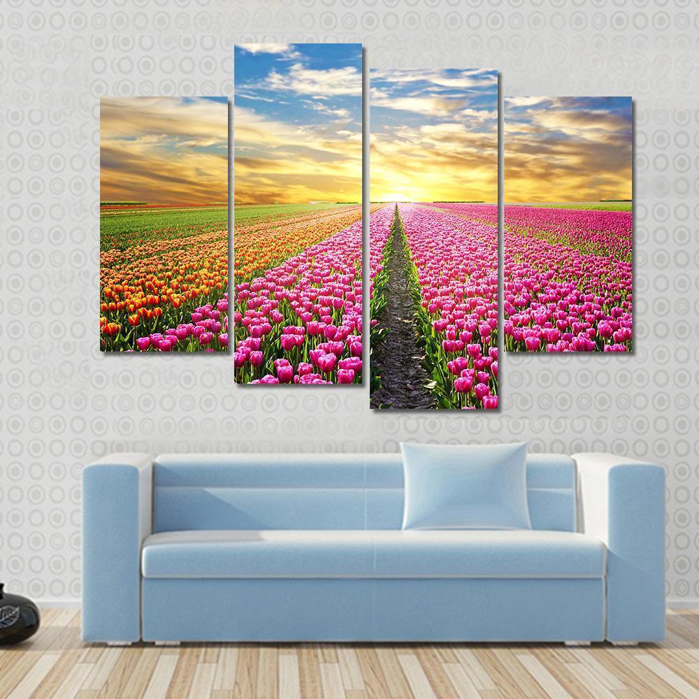 Tulip Field At Sunrise Canvas Wall Art-4 Pop-Gallery Wrap-50" x 32"-Tiaracle
