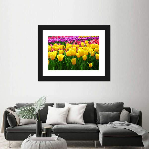 Tulips Field Flowers Canvas Wall Art-1 Piece-Framed Print-20" x 16"-Tiaracle